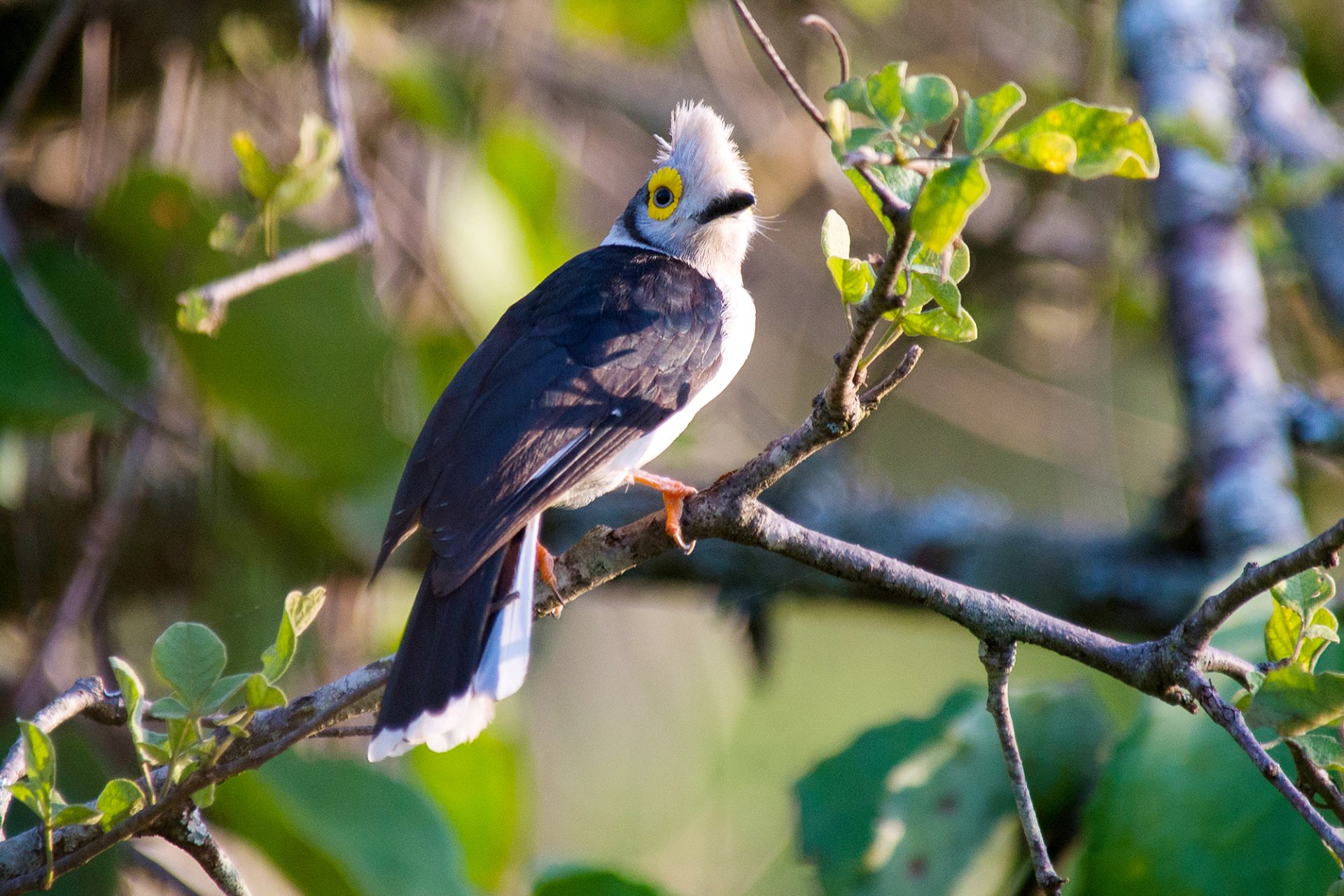 Bokora Wildlife Reserve