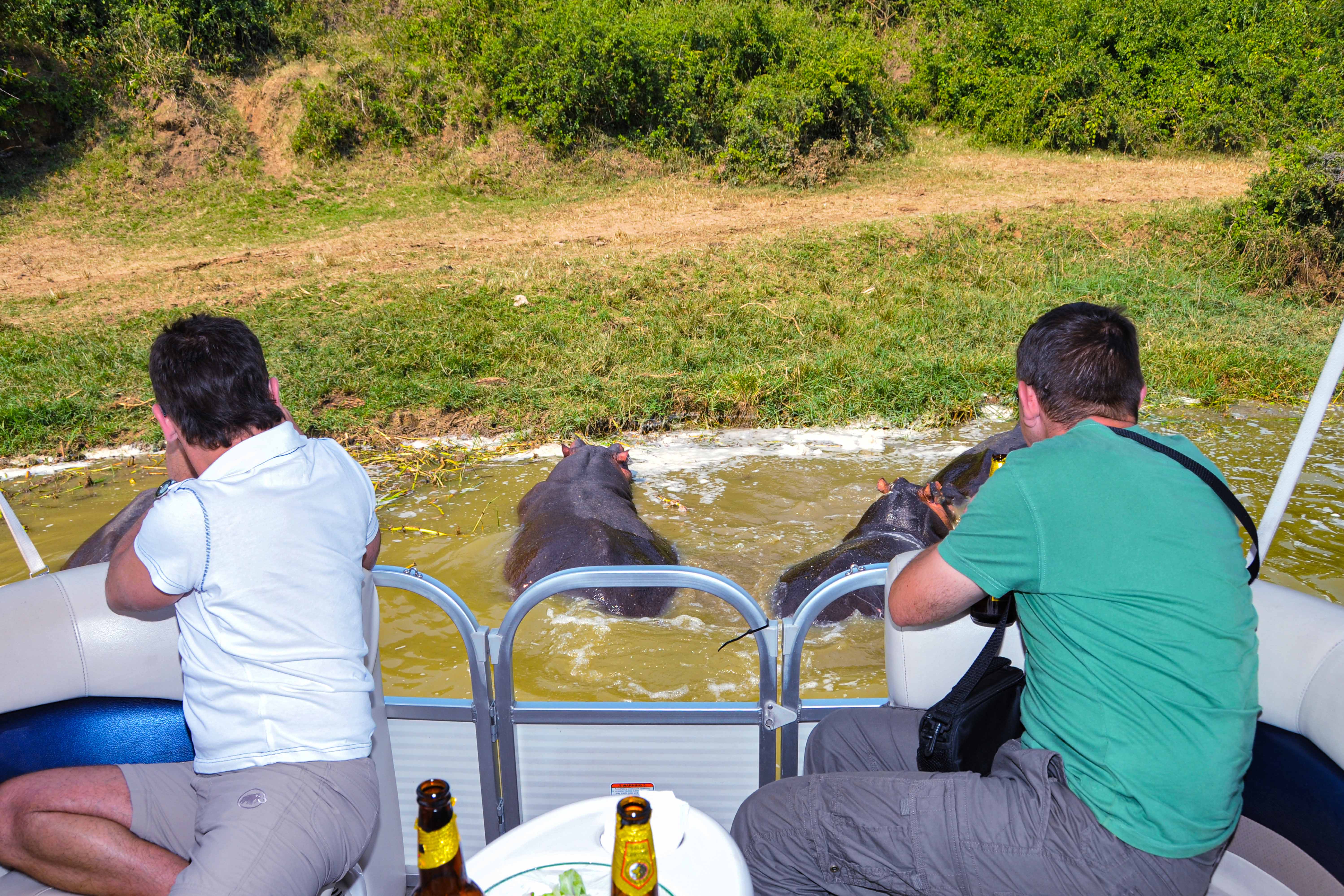 Scenic landscape of Queen Elizabeth National Park with diverse wildlife