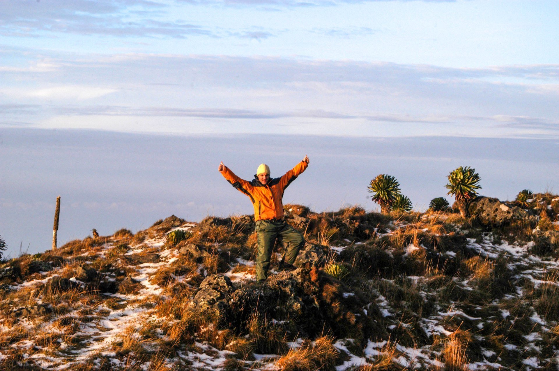 Mountain Gorillas in Bwindi Impenetrable Forest