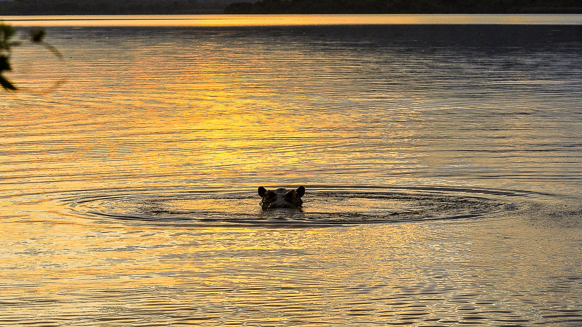 Long Uganda Photographic Safari — Ultimate Multi-Park Expeditions