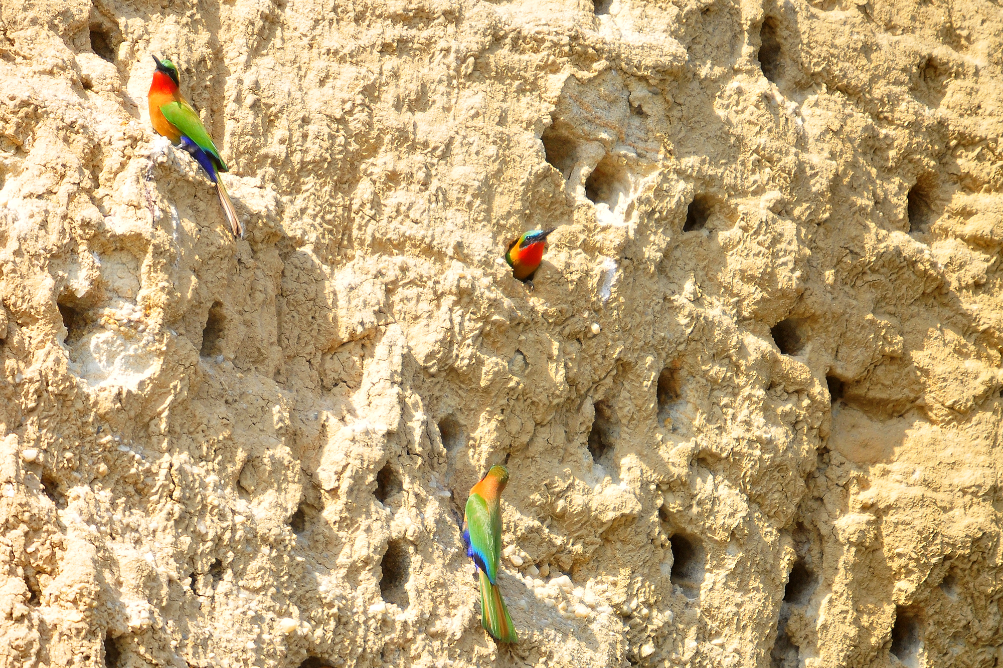 33-Day Uganda's Grand Traverse