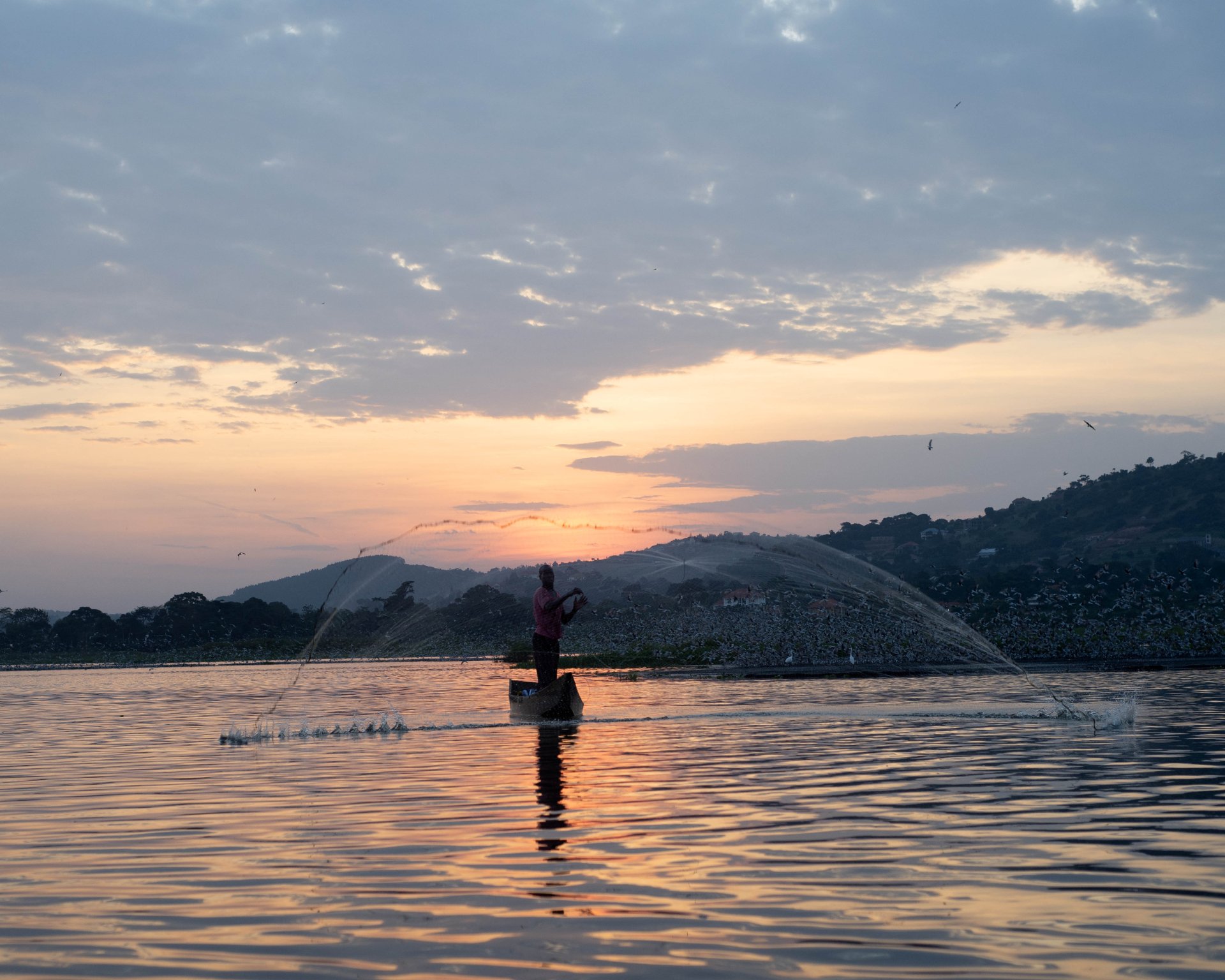 Ngamba Island Shoreline