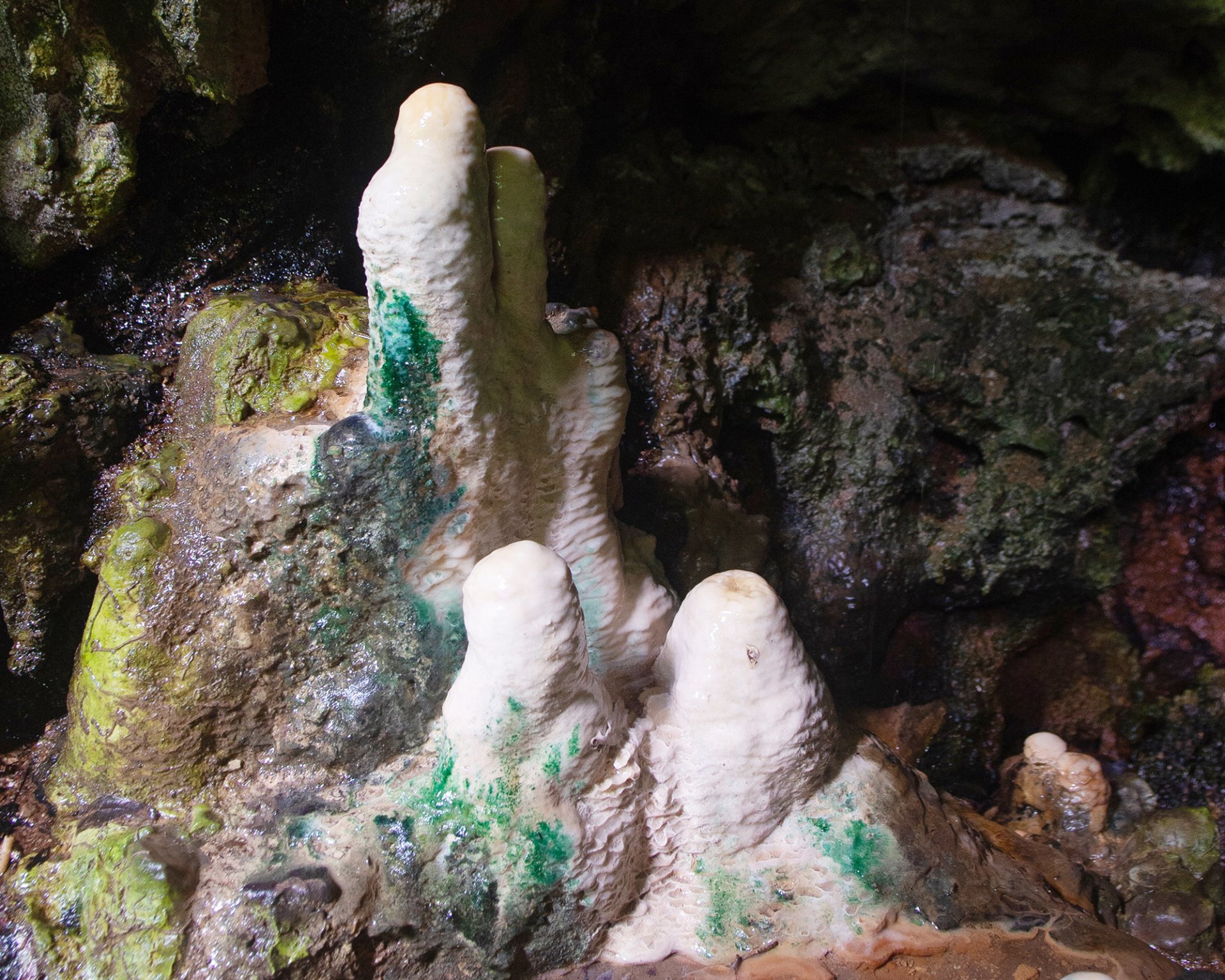 7-Day Essential Uganda Wildlife Photography Safari