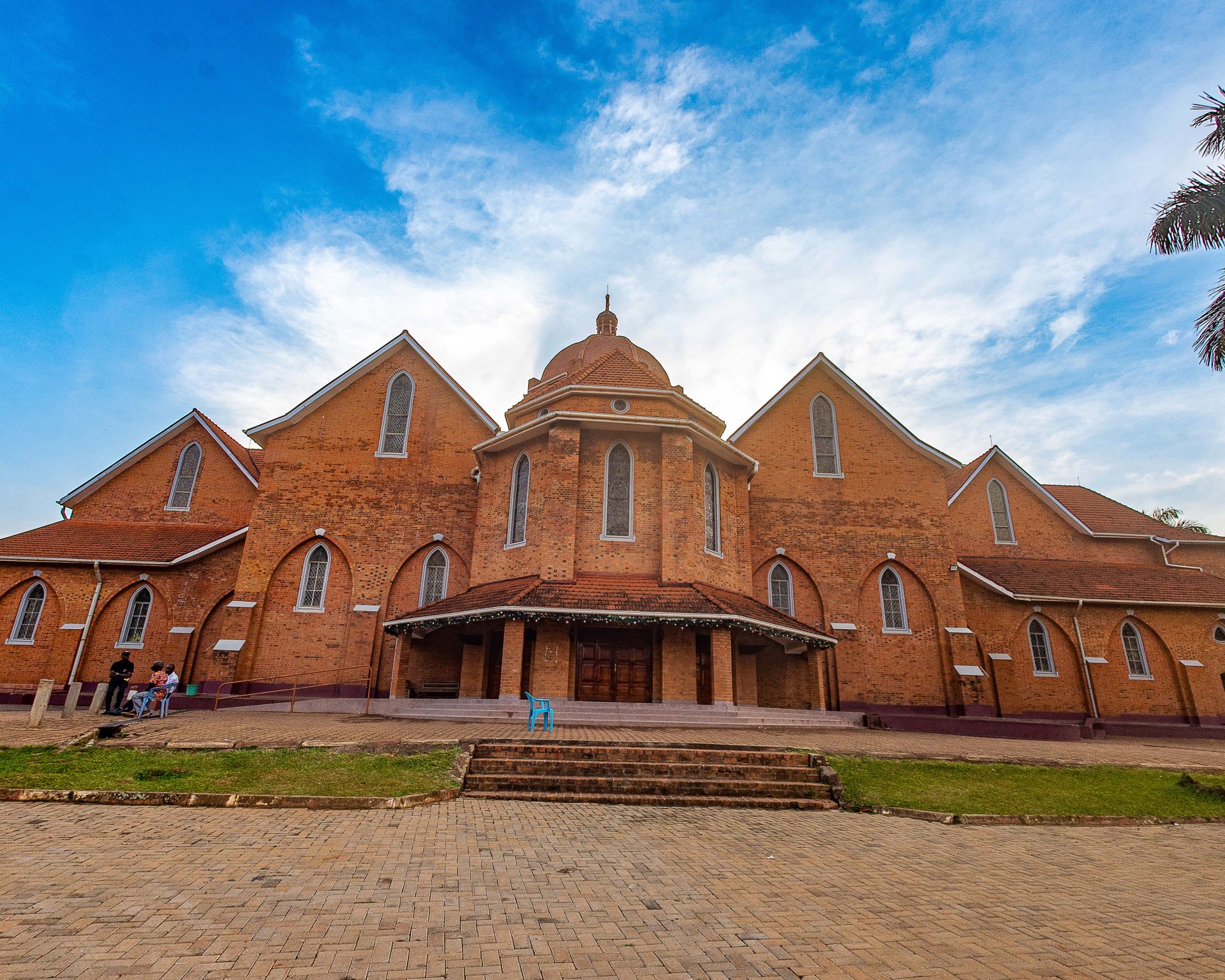 Botanical Gardens Palms