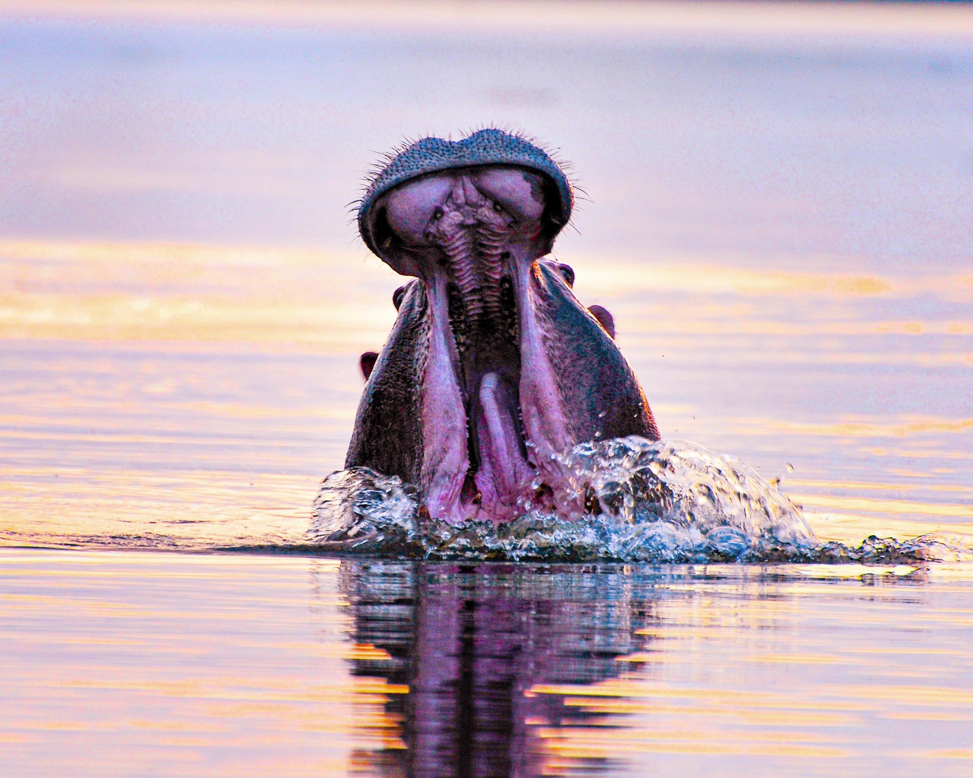 Lake Mburo Shoreline