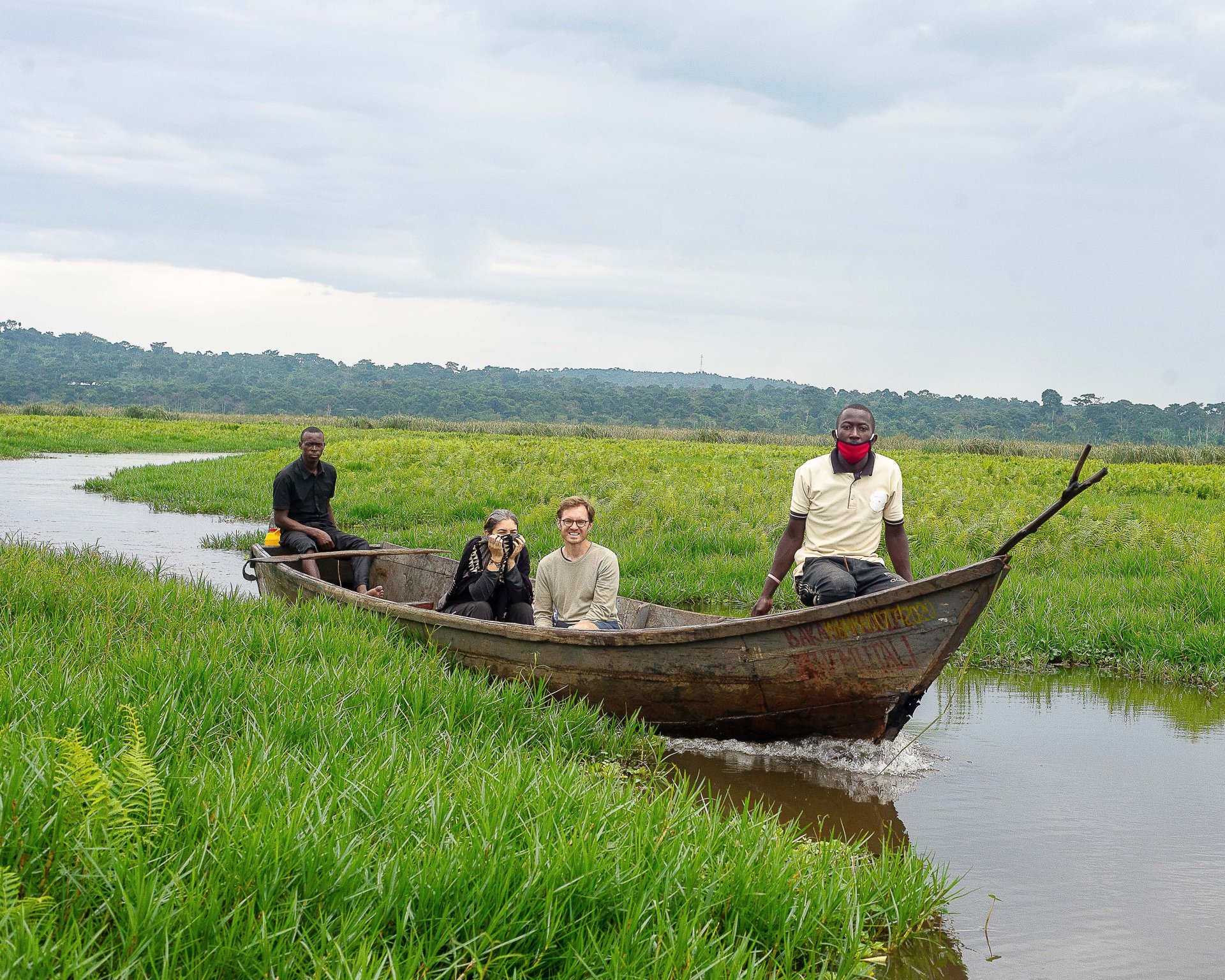 Shoebill Stork hunting in papyrus marsh