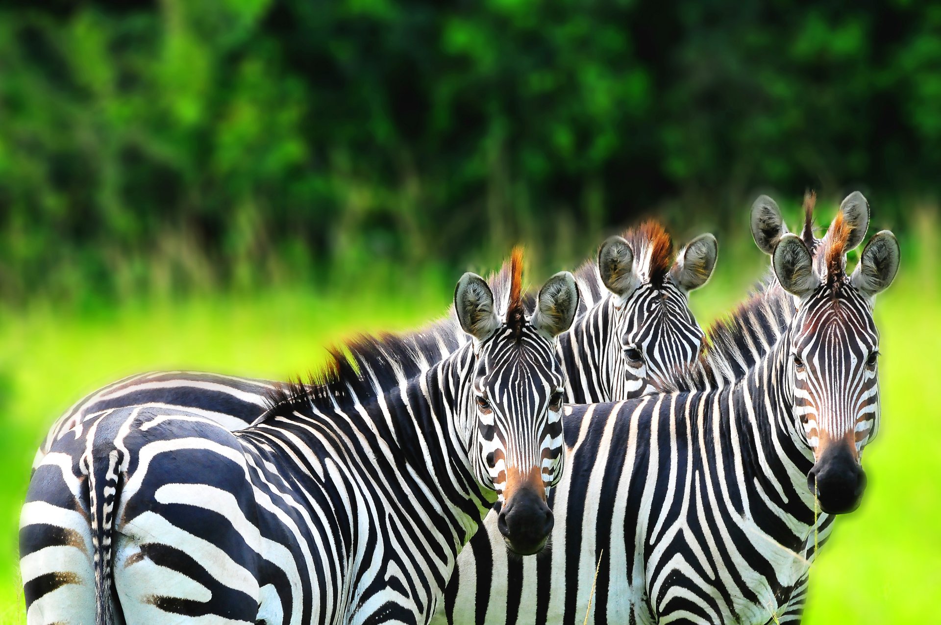 Lake Mburo National Park