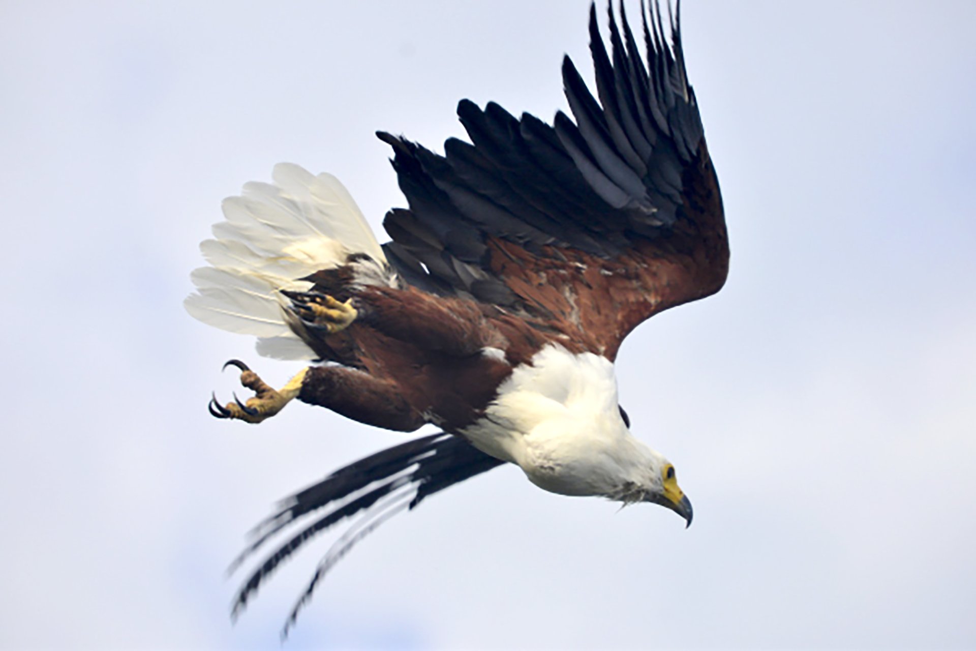 Kabwoya Wildlife Reserve