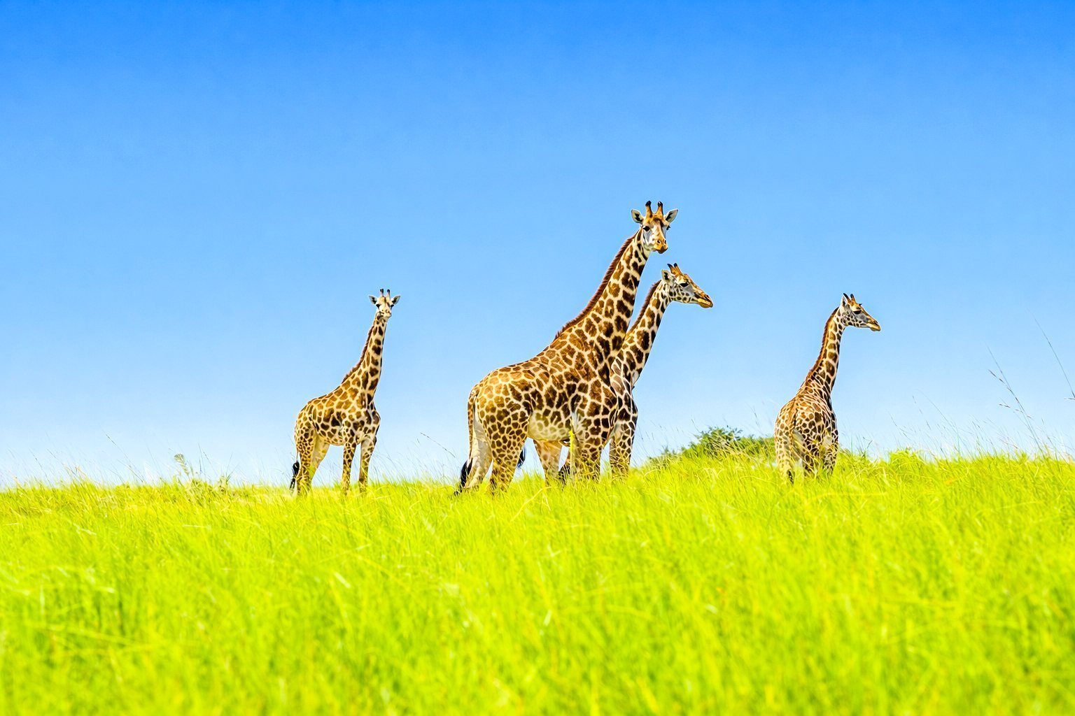 About us hero banner