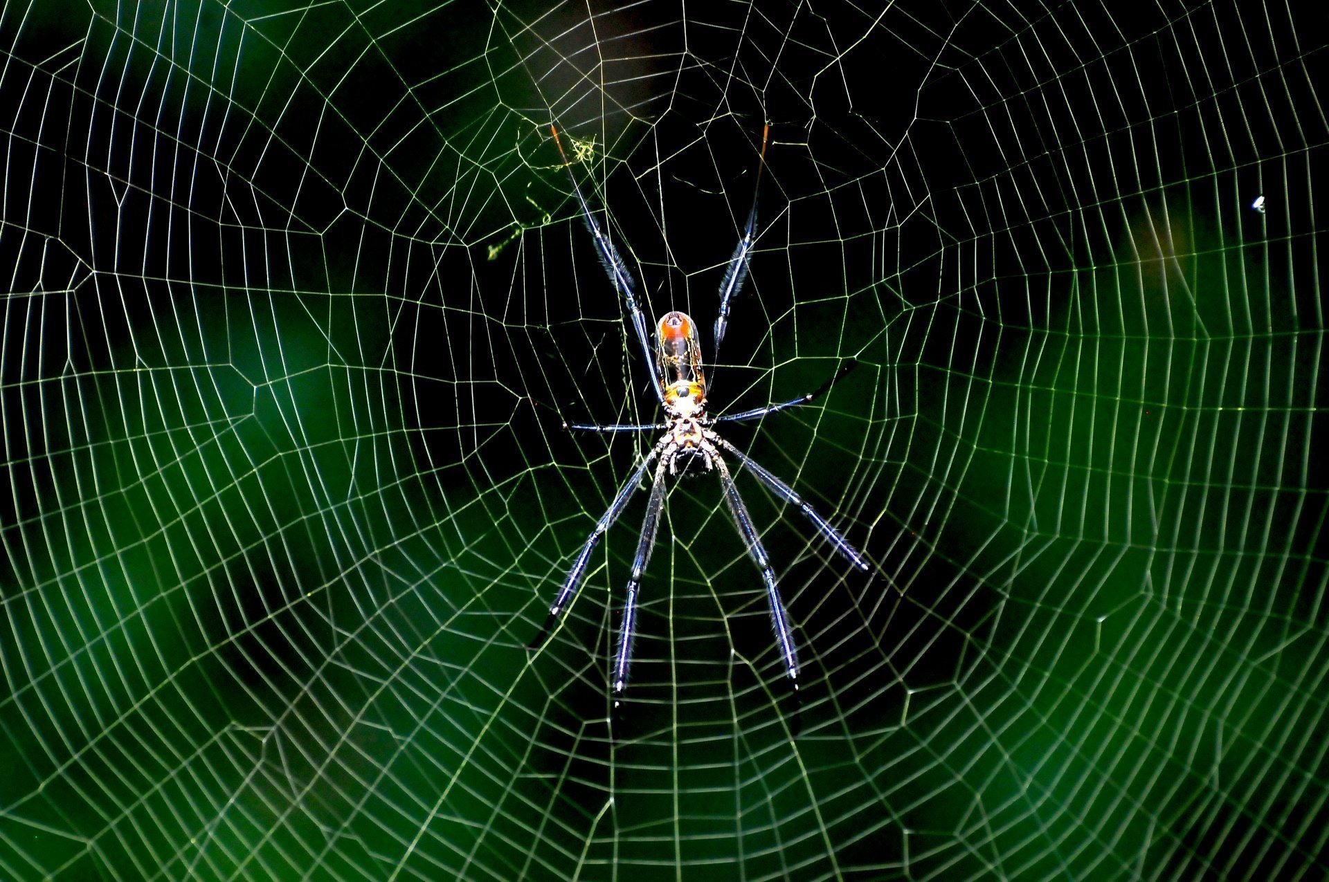 Uganda's stunning landscapes