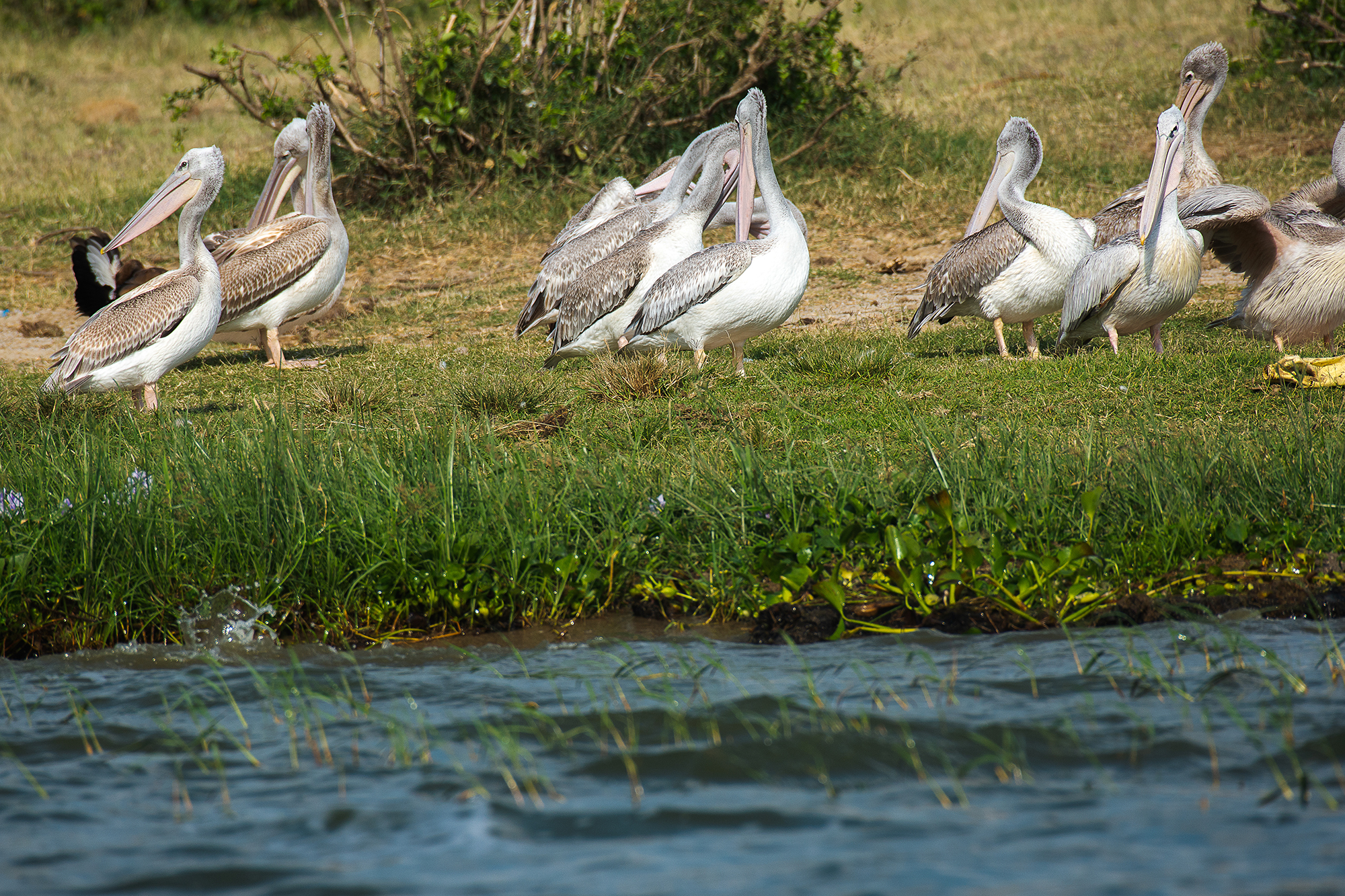 33-Day Uganda's Grand Traverse