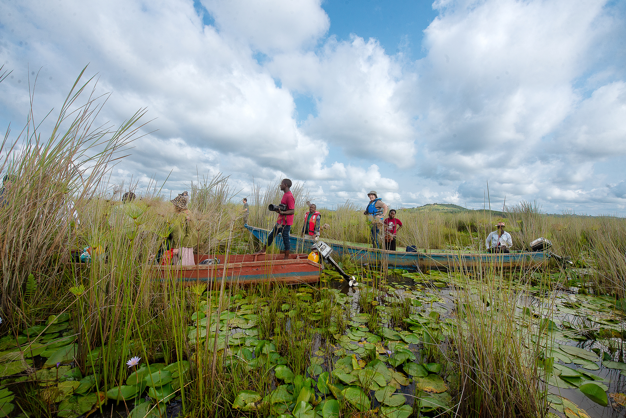 1 Day Birding Adventure in Mabamba Wetlands