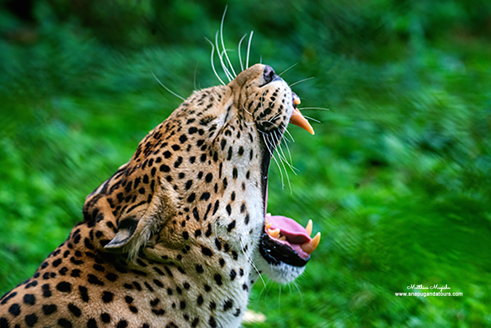 Photographic-tours