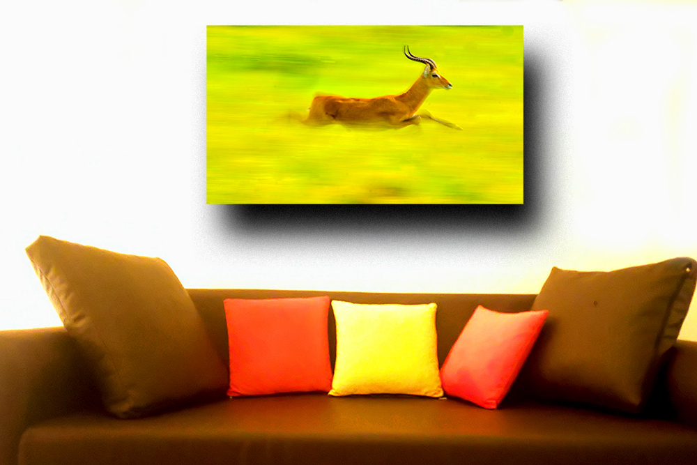 Wall-Decor